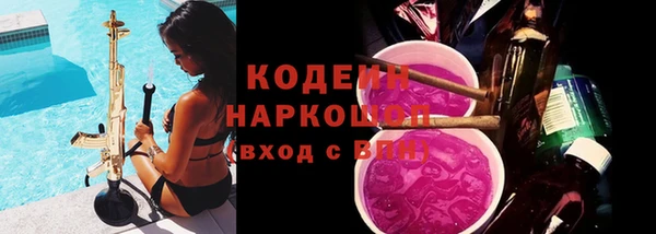 прущий лед Новозыбков