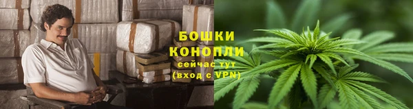 прущие крисы Новокубанск
