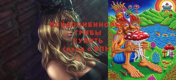 прущие крисы Новокубанск