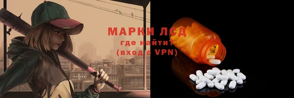 прущий лед Новозыбков