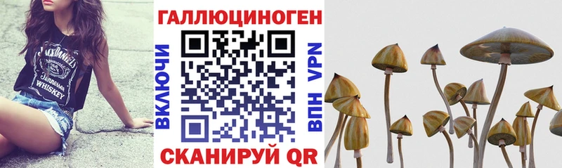Галлюциногенные грибы Magic Shrooms  Юрюзань 